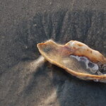 Article teaser image