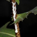 Article teaser image