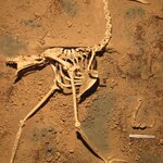 Article teaser image