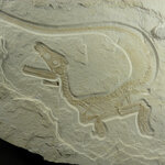 Article teaser image