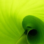 Article teaser image