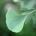 Article teaser image