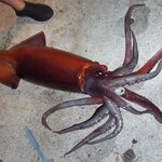 Article teaser image