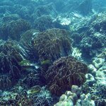 Article teaser image