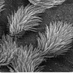 Article teaser image