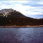 Article teaser image