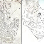 Article teaser image