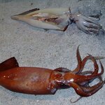 Article teaser image