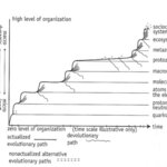 Article teaser image