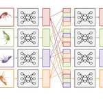 Article teaser image