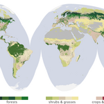 Article teaser image
