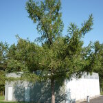 Article teaser image