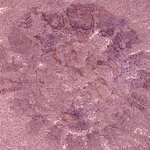 Article teaser image