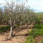 Article teaser image