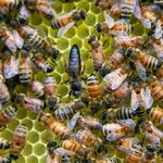 Article teaser image