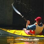 Article teaser image