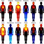 Article teaser image