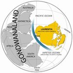 Article teaser image