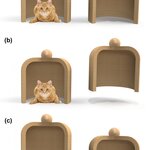 Article teaser image