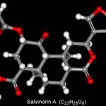 Article teaser image