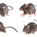 Article teaser image