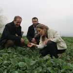 Article teaser image