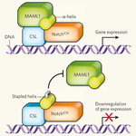 Article teaser image