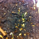 Article teaser image