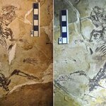 Article teaser image