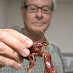 Article teaser image