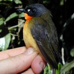 Article teaser image