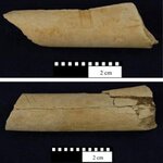 Article teaser image