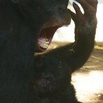 Article teaser image