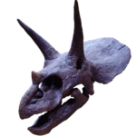 Article teaser image