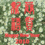 Article teaser image