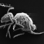 Article teaser image