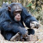 Article teaser image