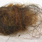 Article teaser image