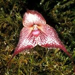 Article teaser image