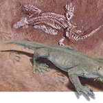 Article teaser image