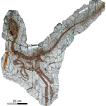 Article teaser image