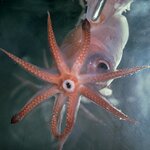 Article teaser image