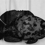 Article teaser image