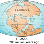 Article teaser image