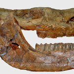 Article teaser image