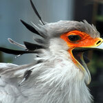 Article teaser image