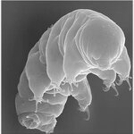 Article teaser image