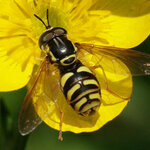 Article teaser image