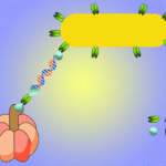 Article teaser image