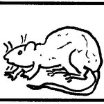 Article teaser image